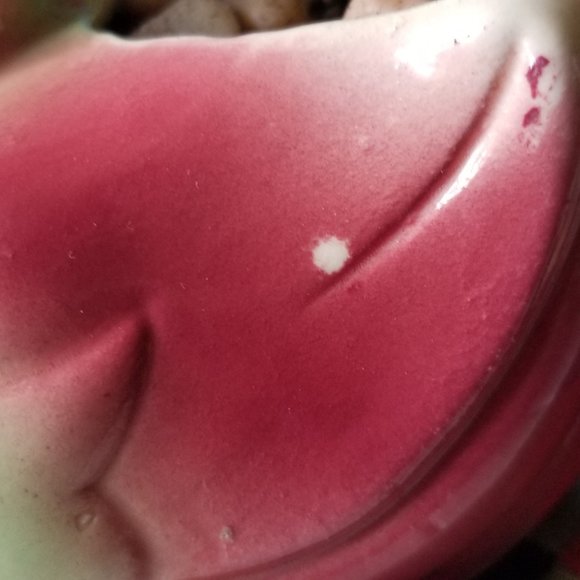 Beautiful Duck / Swan Planter With Succulent - Picture 8 of 10